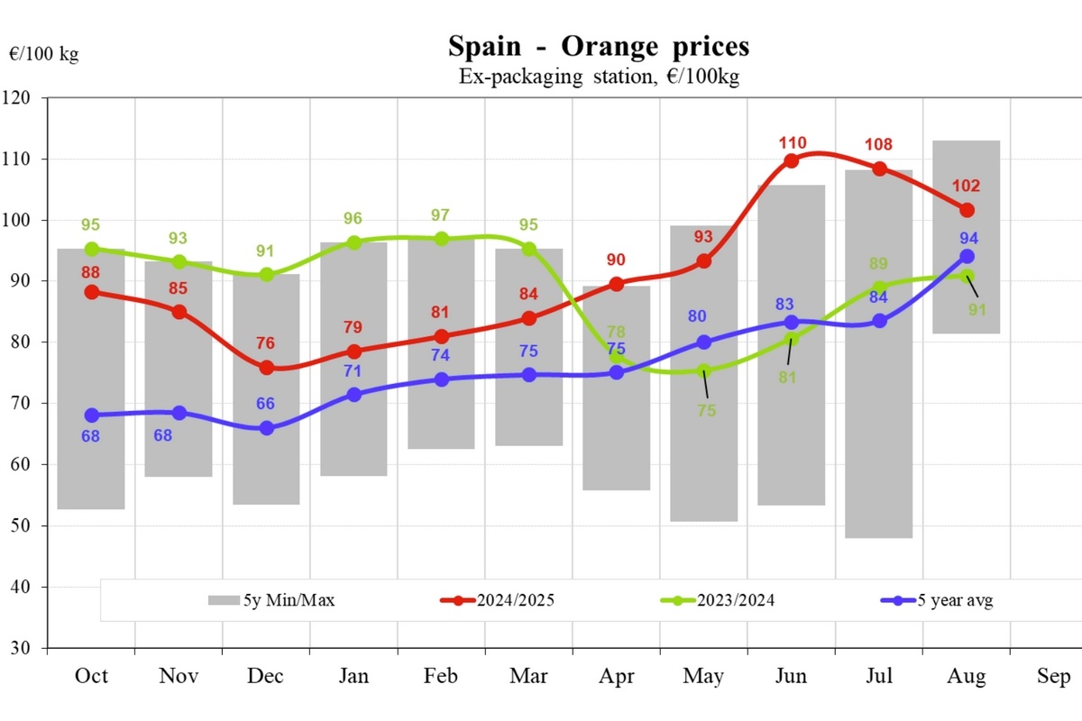 Spanje ziet sinaasappelprijs in oktober scherp dalen naar 81 €/100 kg