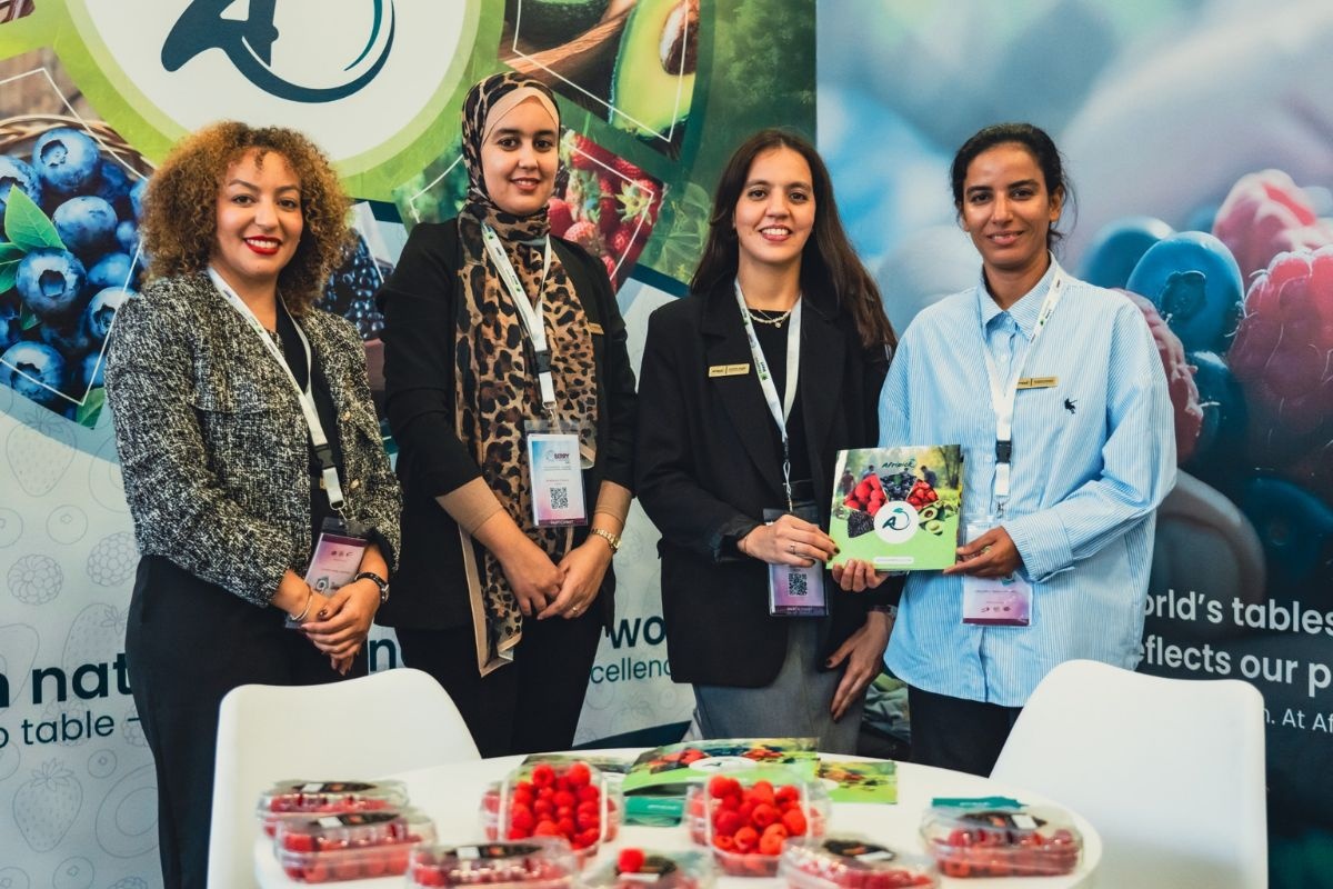 Nieuwe frambozenrassen rijpen vroeger én vragen minder arbeid