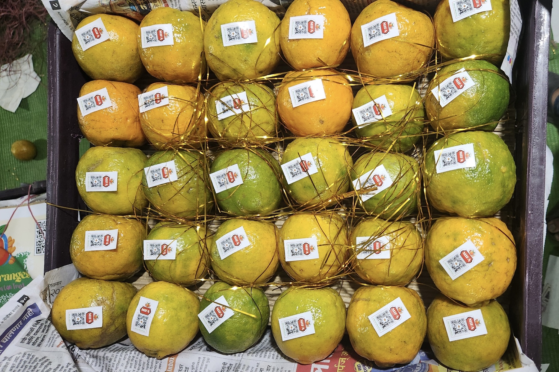 "Indiase sinaasappelexport blijft op stoom ondanks smalle marges"