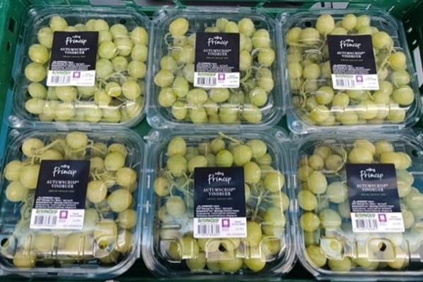 Autumncrisp zorgt voor druivenhype in Denemarken: verkoop +90% na introductie