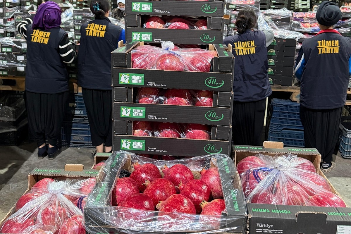 Turkse granaatappelteelt 35% lager; aanvoer halveert