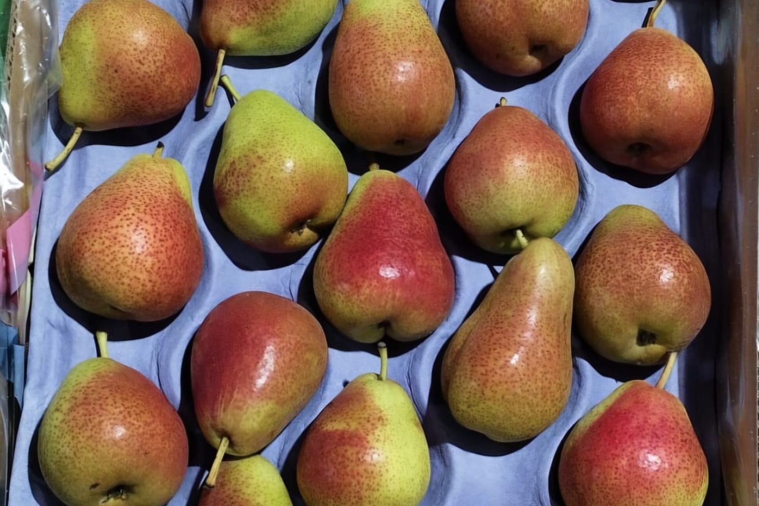 "Chinese peren vertraagden afzet van premiumrassen in India"