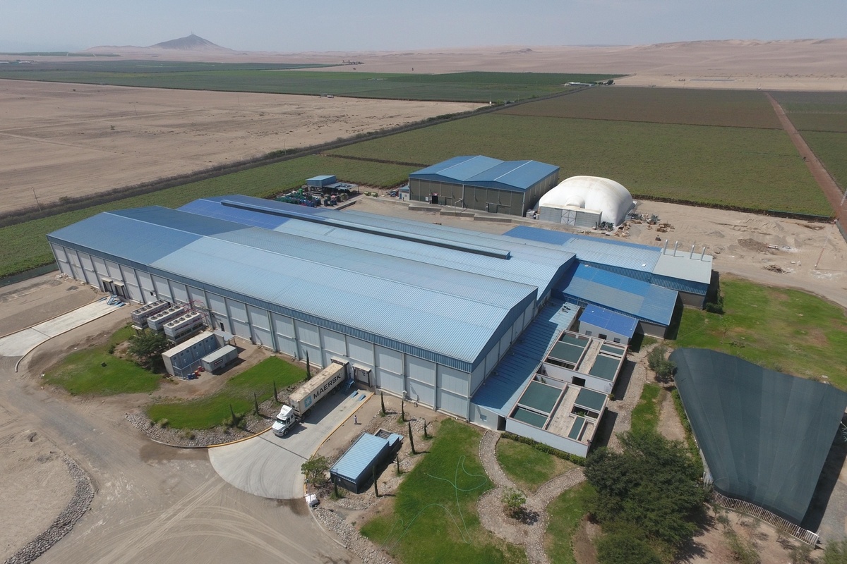 Unifrutti breidt druivenactiviteiten in Peru uit met overname Safco