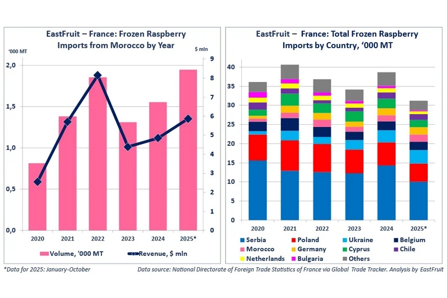Marokko vijfde grootste exporteur van diepgevroren frambozen naar Frankrijk