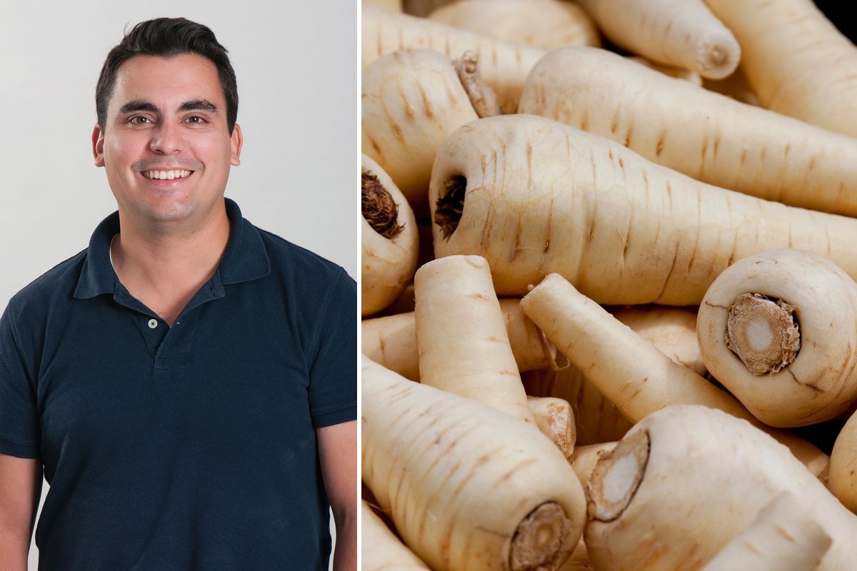 Wereldwijde vraag naar pastinaak groeit, vooral in koude klimaten