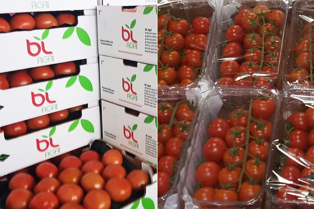 Prijzen Marokkaanse tomaten en paprika's nemen duik; export drie dagen stil
