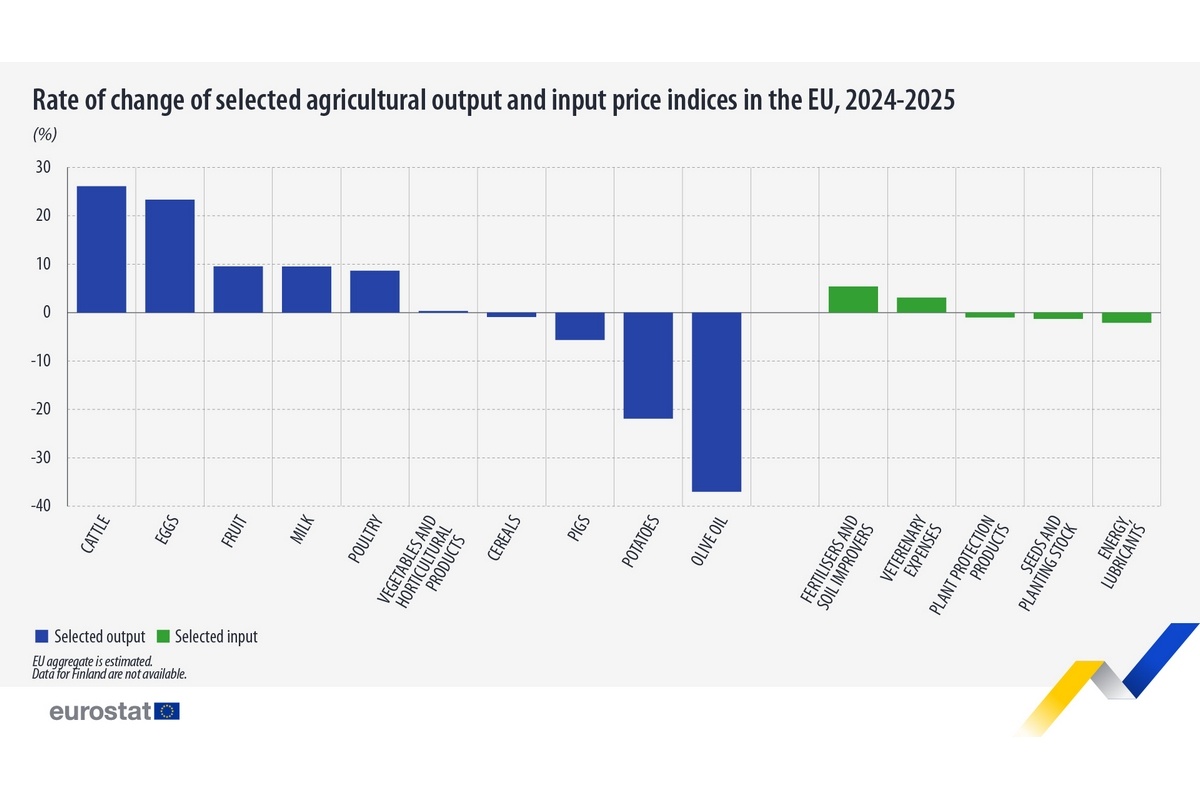 Aardappelprijzen EU dalen met 22%