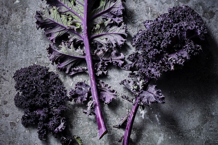 Rode boerenkool toegevoegd aan Tesco's Finest-assortiment