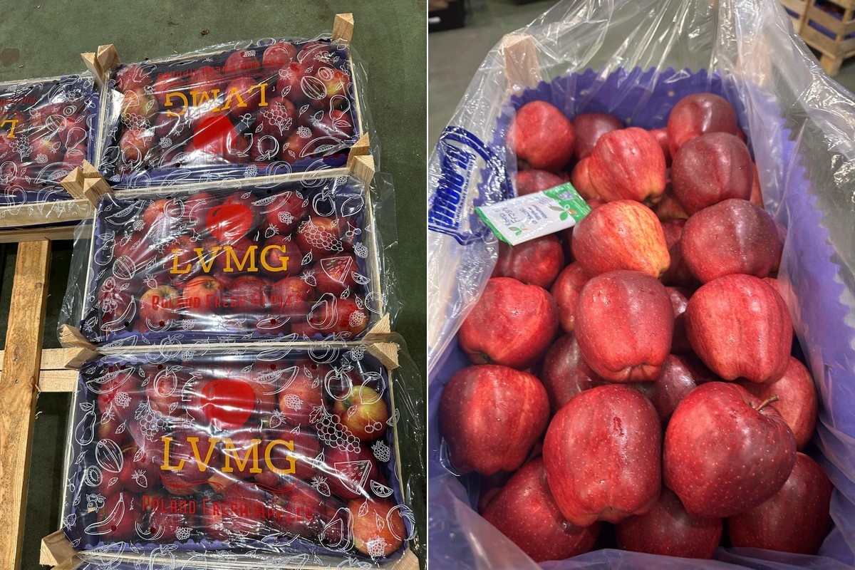 "Vraag naar Poolse appelen sterk, maar niet overweldigend"