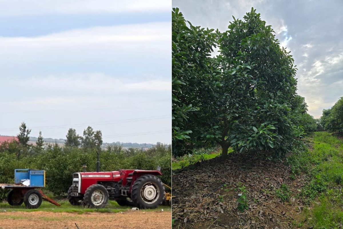 "Ik heb dit seizoen nog niet eens mijn kosten gedekt"