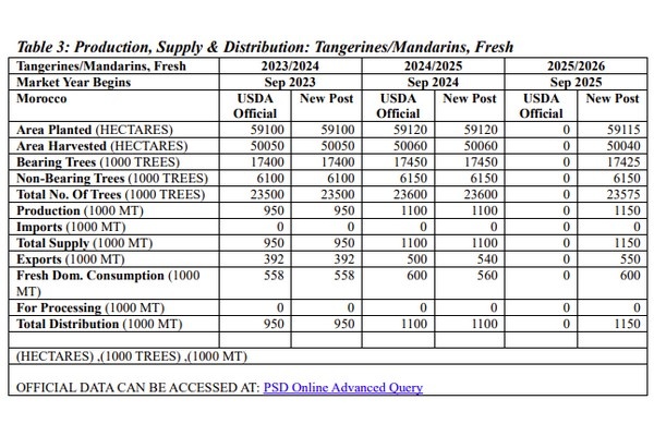 Marokko's productie van mandarijnen/clementines voor MY 2025/26 naar verwachting met 4 procent stijgen