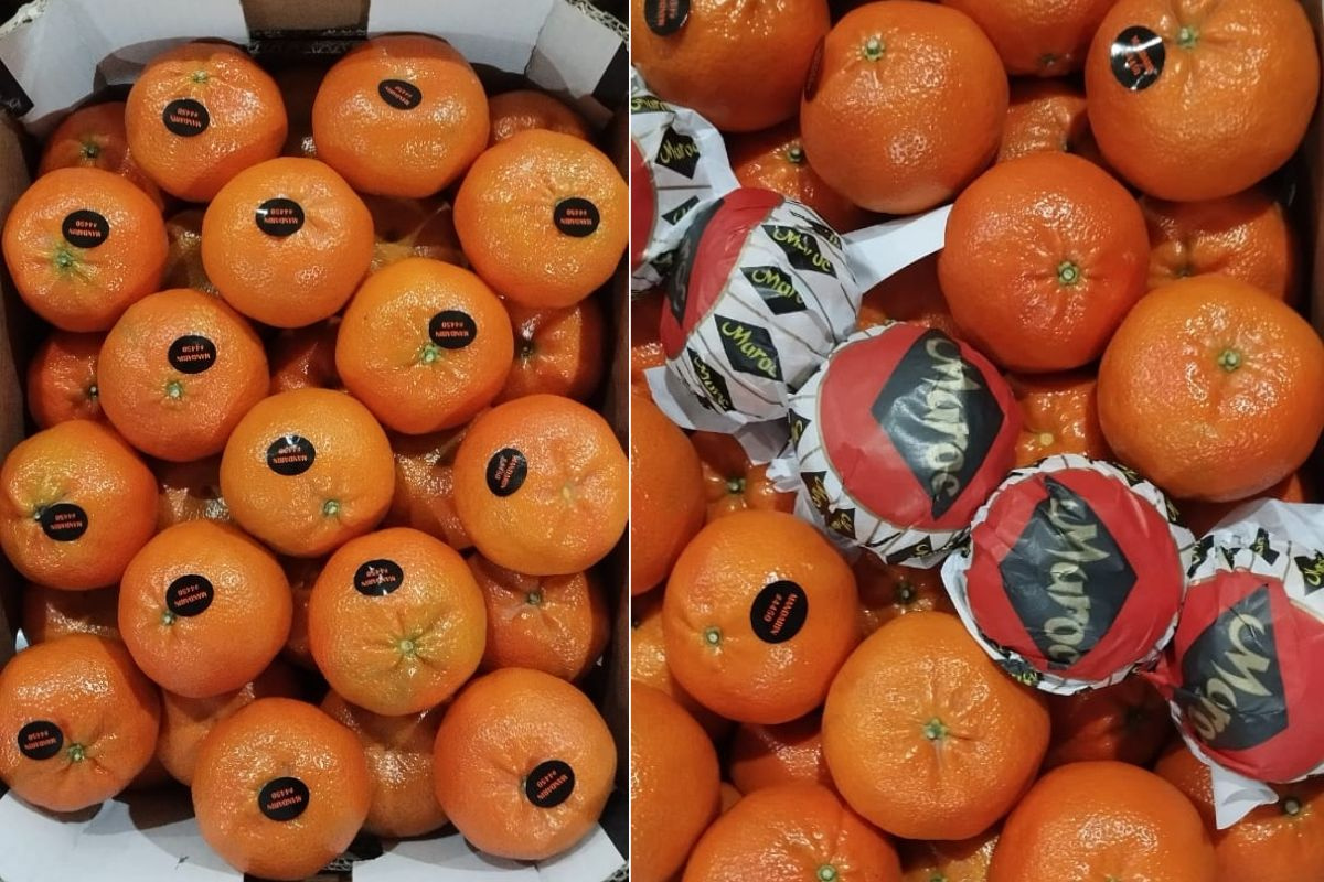 "Grote vraag vanuit Rusland naar Marokkaanse Nadorcott"