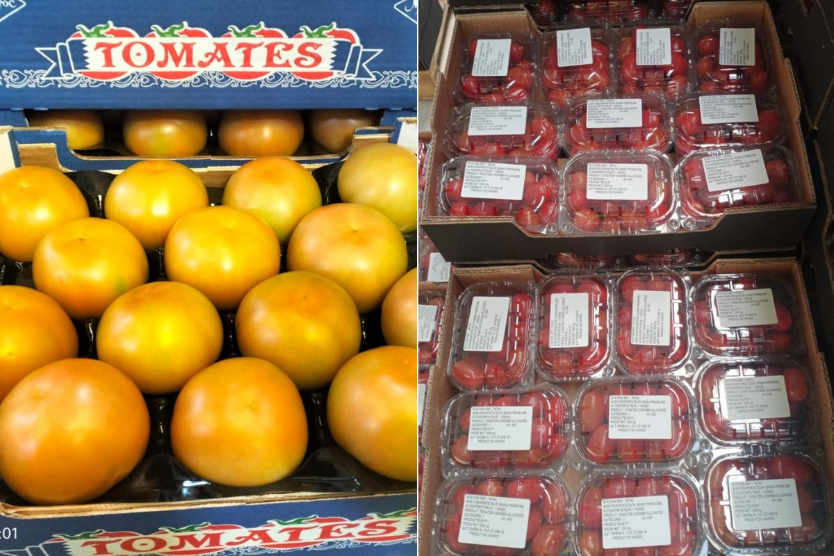 "De prijzen op de lokale Marokkaanse AGF-markt zullen net zo snel dalen als ze gestegen zijn"