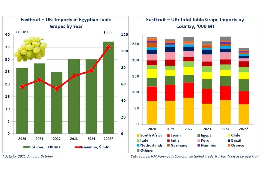 Egypte breidt export van druiven naar het Verenigd Koninkrijk uit