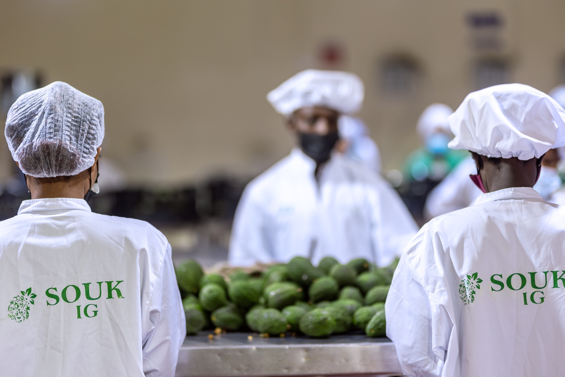 Rwandees avocadoseizoen valt buiten Peru en Zuid Afrika