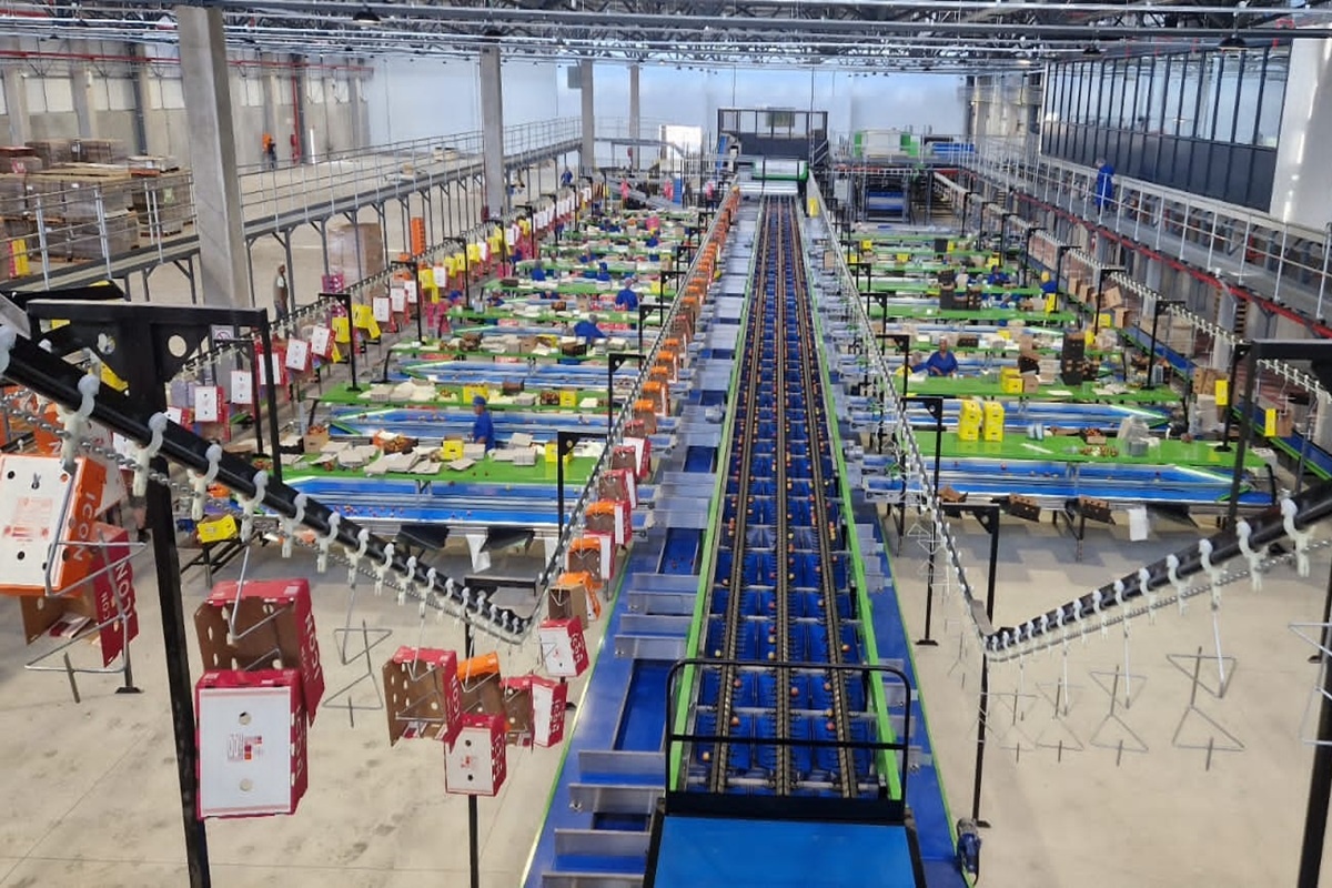 Zuid-Afrika: joint venture MAF Roda en Maintech