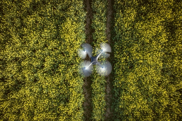 Chinese drones kunnen tot 4 ton citrus per dag vervoeren