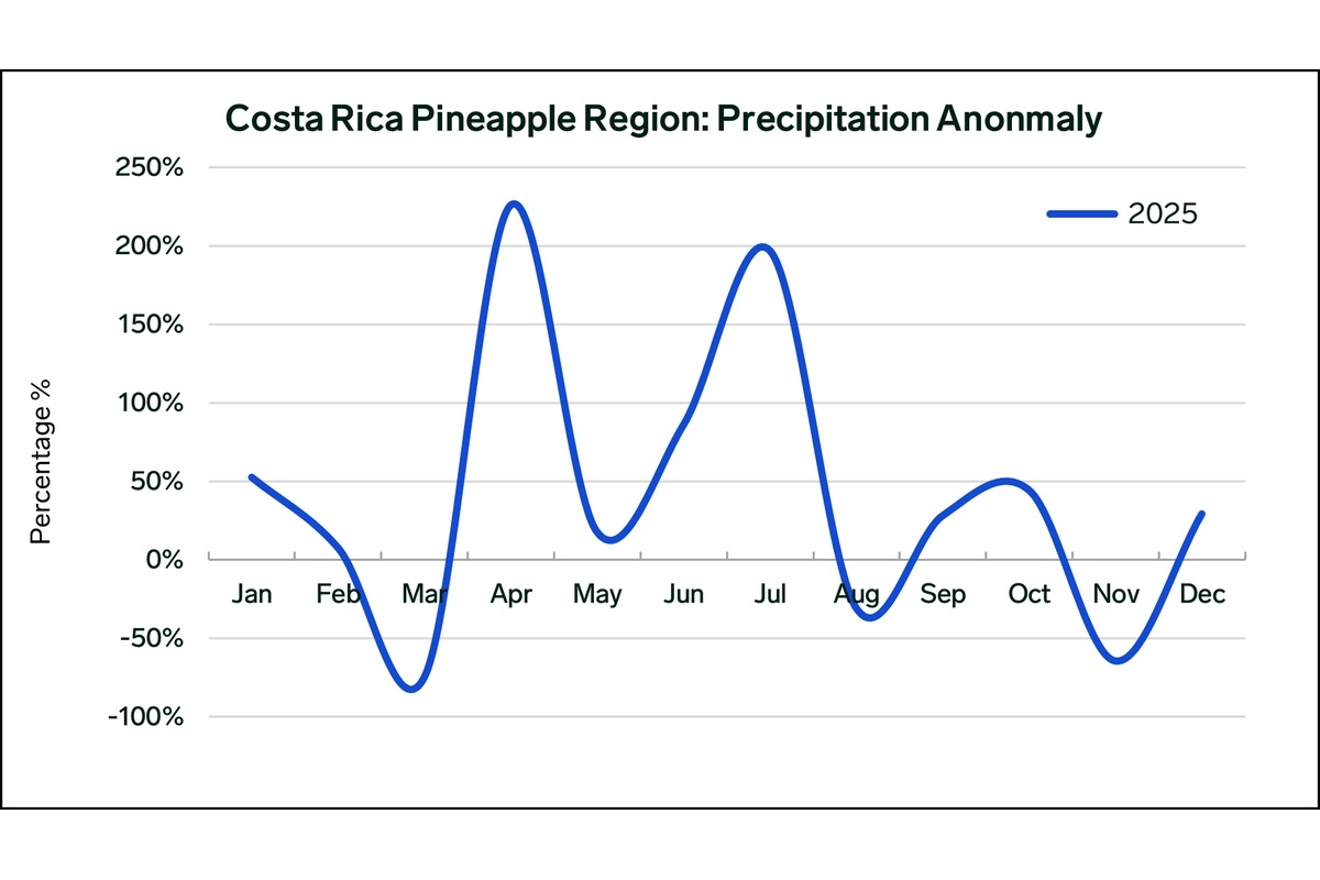 Lagere ananasproductie in Costa Rica, Ecuador en Panama