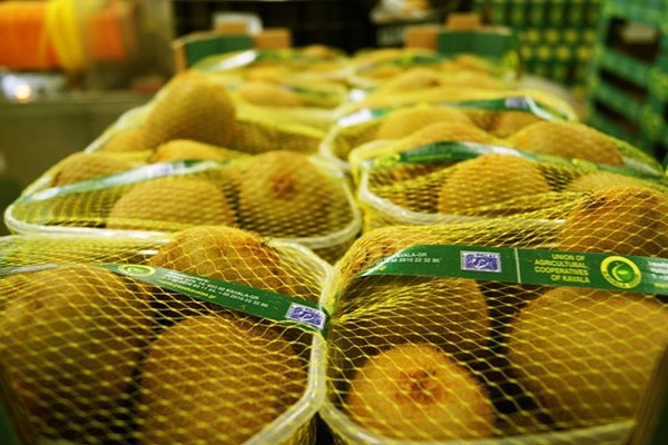 Griekse kiwi’s verleggen focus weg van EU-markt