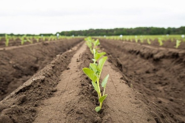 Solynta overgenomen door EW Group