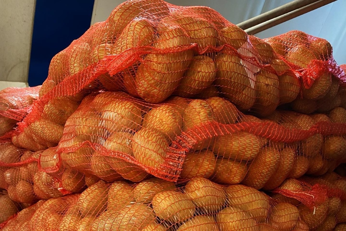 Moeizame afzet Cypriotische primeur aardappelen