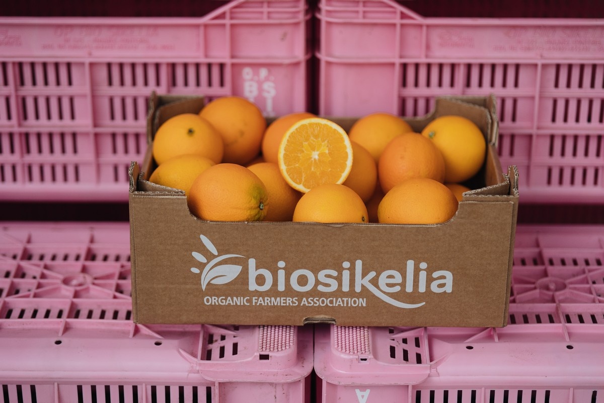Levering van Siciliaanse bio sinaasappelen gaat door na orkaan