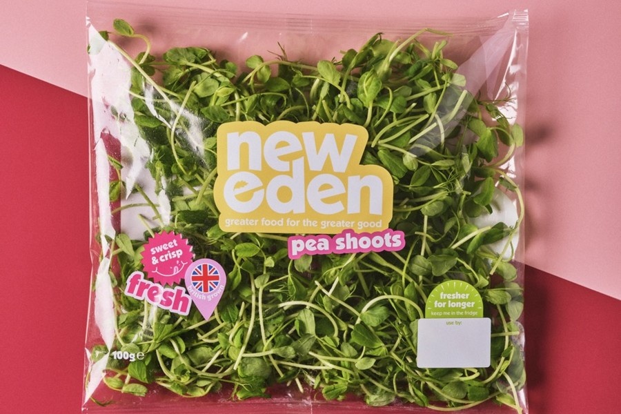 Verticaal gekweekte sla in schap Ocado