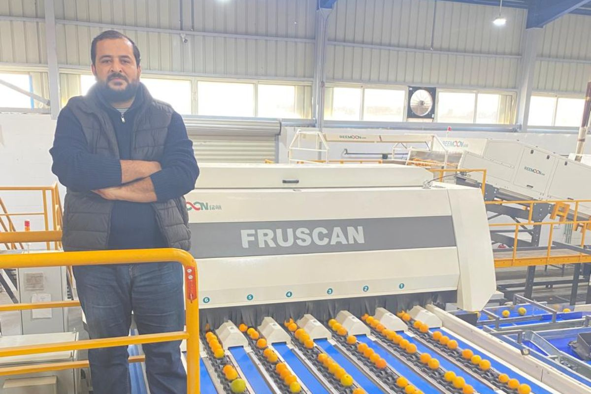 Egyptische sinaasappelexporteurs rekenen op een "veel sterkere" tweede seizoenshelft