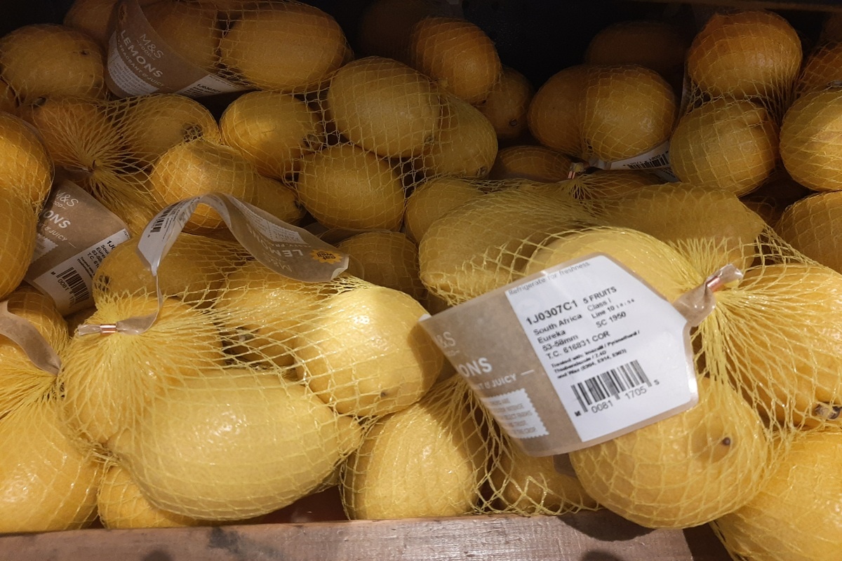 Zuid-Afrikaanse citroenteler verwacht goed gebalanceerde vraag en aanbod