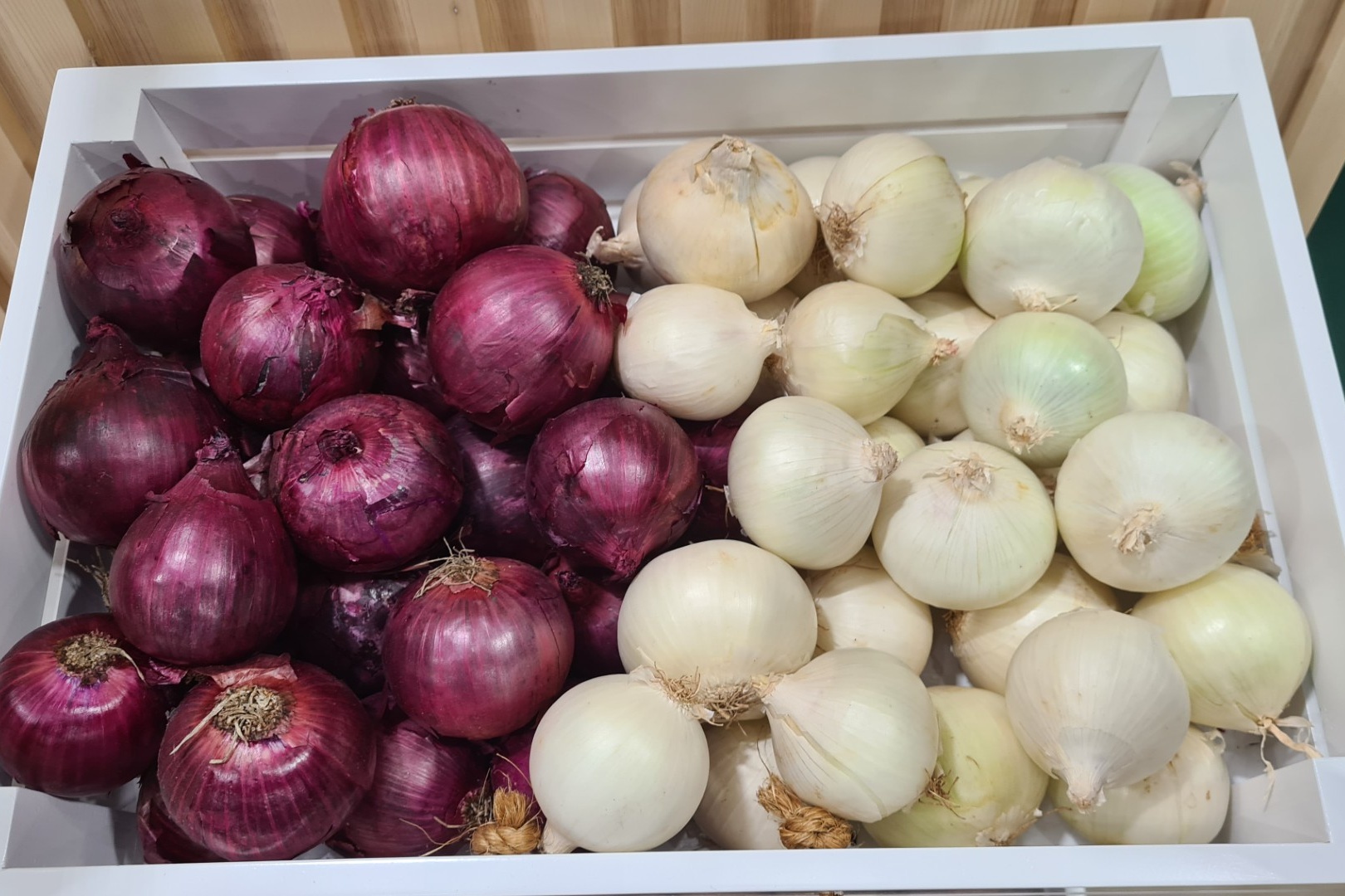 Kwaliteit uien Queensland stabiel ondanks uitdagend weer