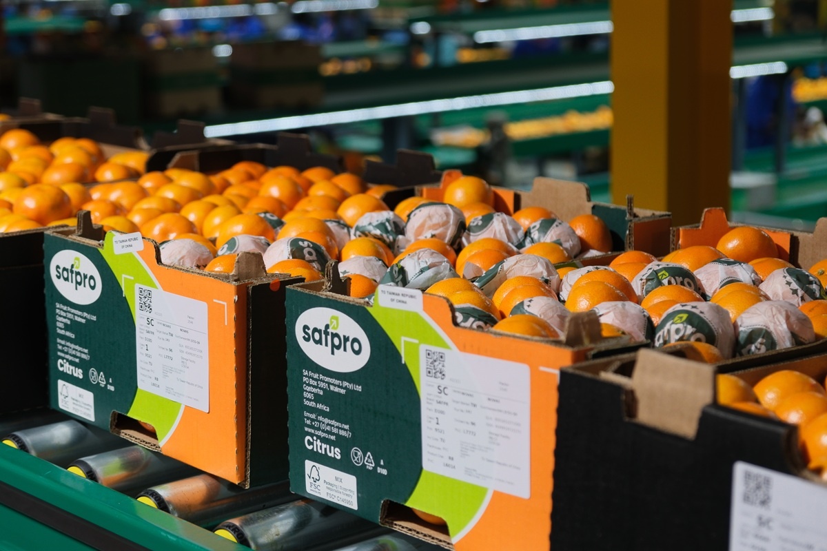 Zuid-Afrikaanse citrussector balanceert tussen vraag en overschot