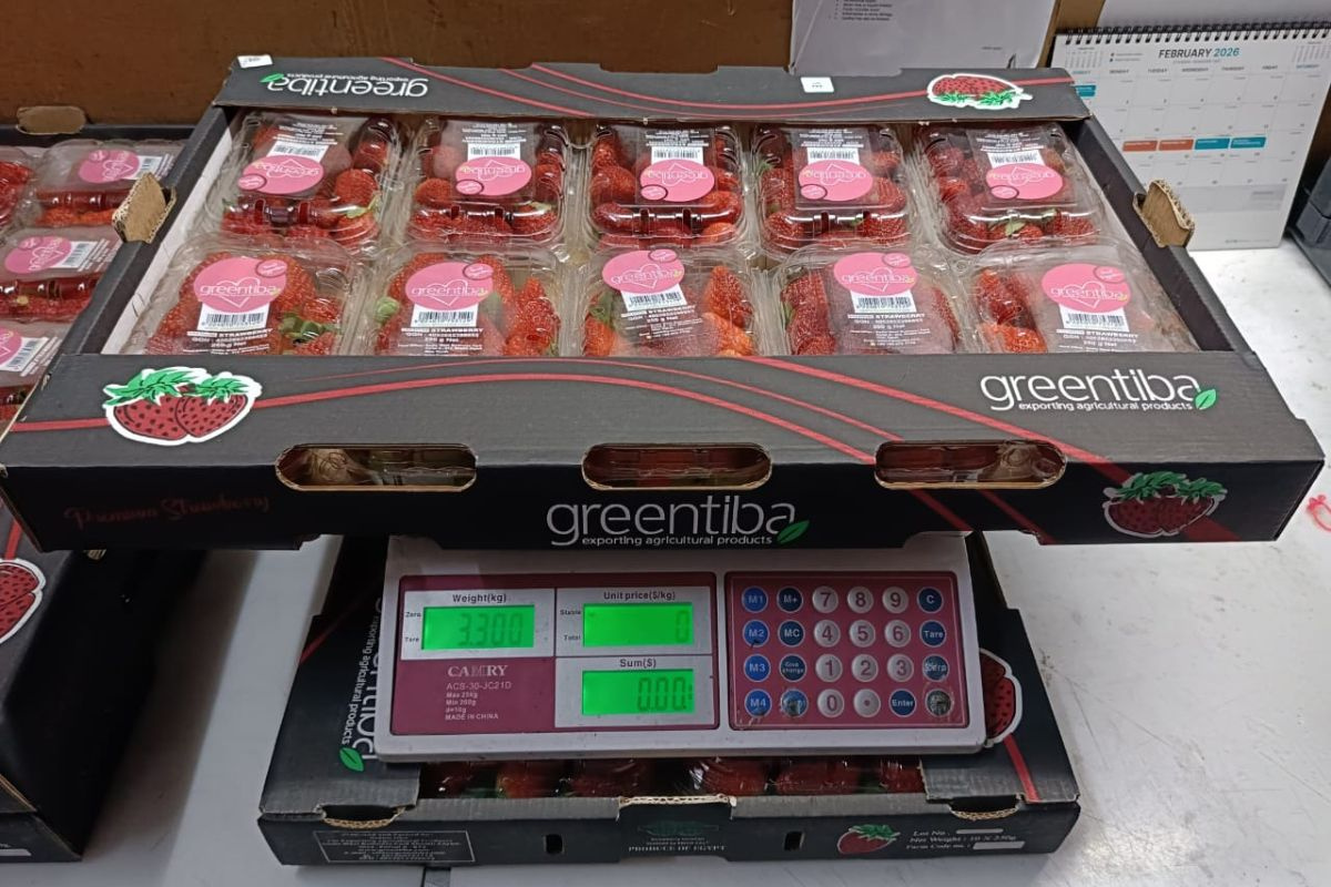 "We blijven dit seizoen verse aardbeien exporteren zolang er vraag is"