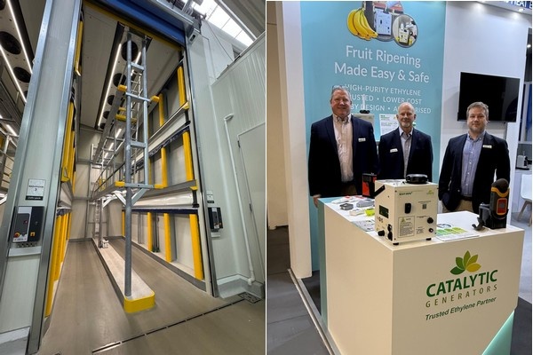 Europese rijpers gaan van oriëntatie naar implementatie van alternatieve ethyleenmethoden