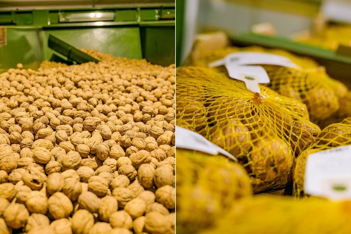 Portugal wil notenexport fors uitbreiden binnen Europa