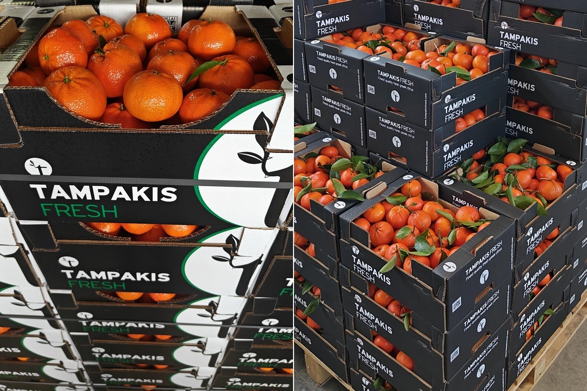 Mandarijnen presteren beter dan sinaasappelen in Grieks seizoen