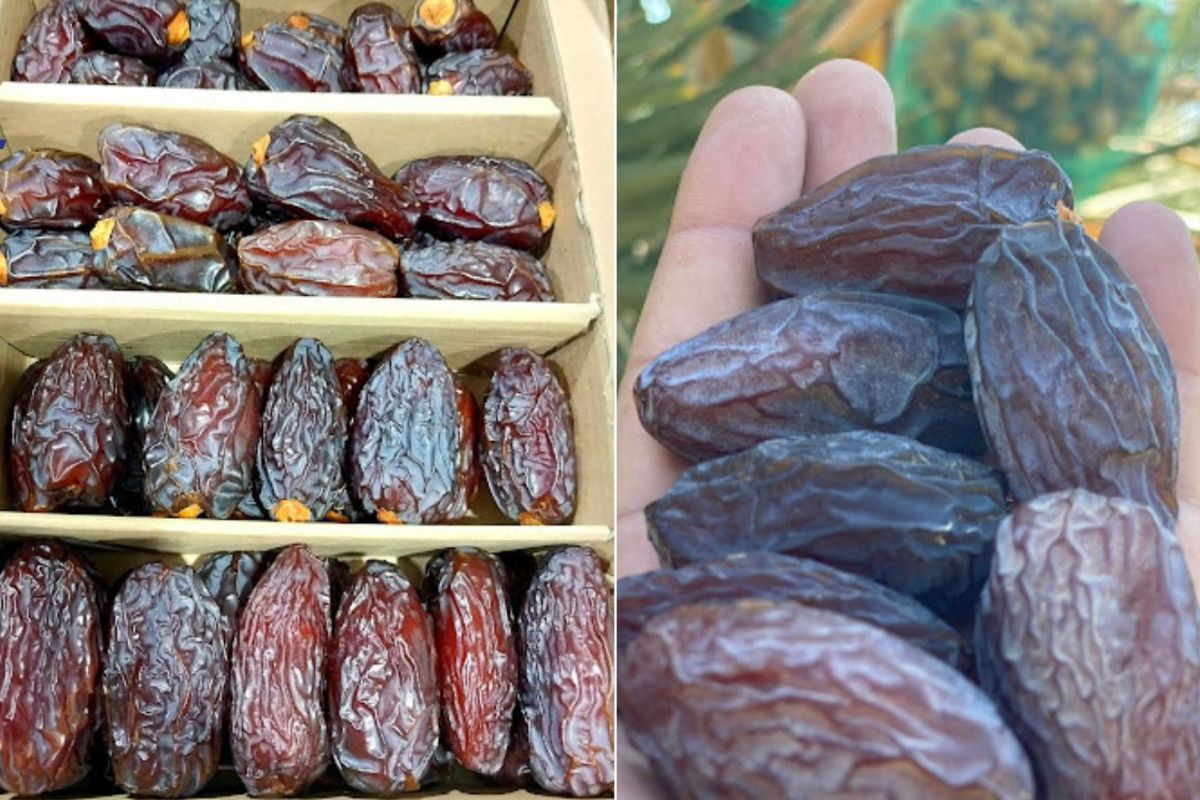 Jordaanse dadelsector mikt op uitbreiding naar Europese markt