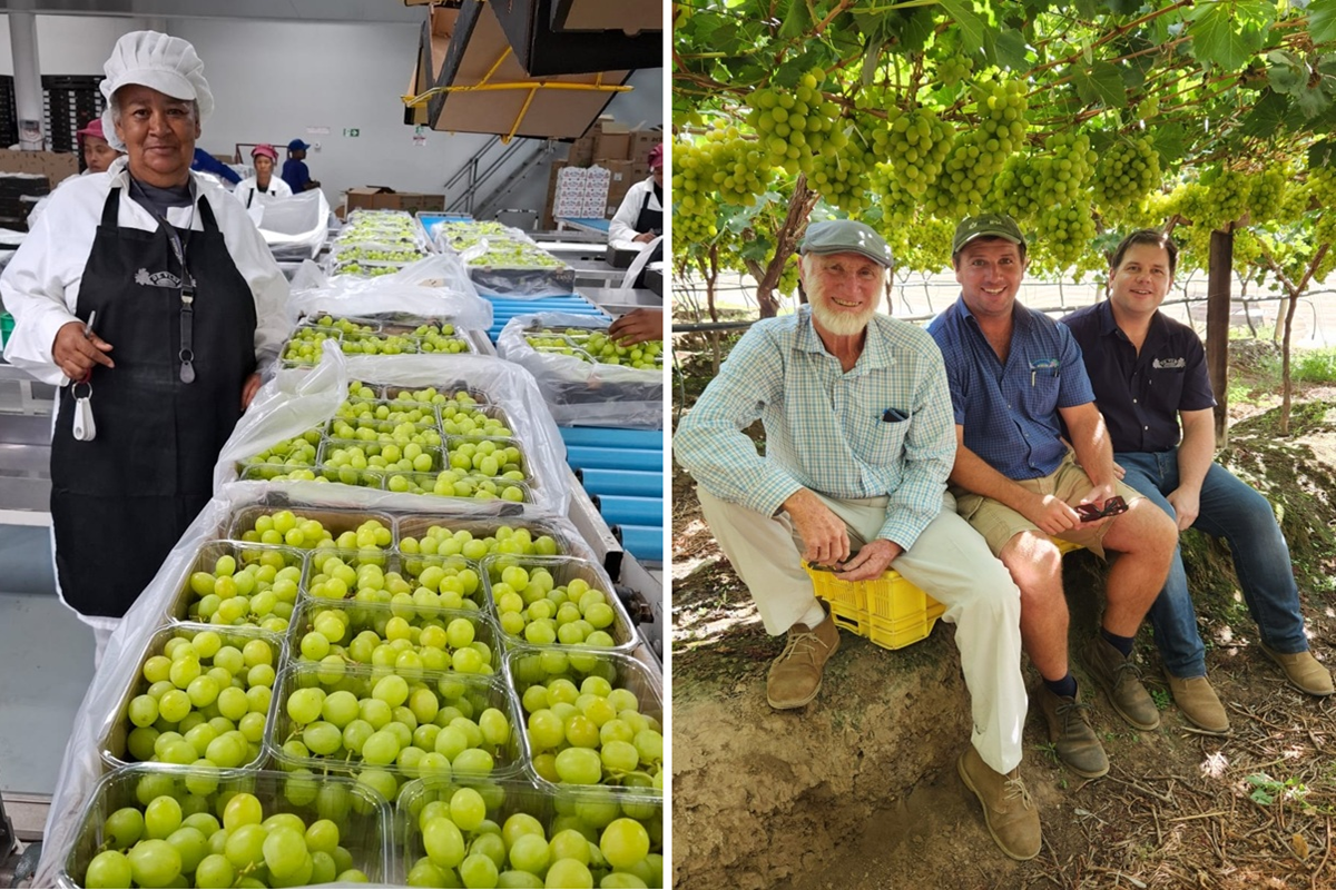 "Druiven dit seizoen door de haven van Kaapstad krijgen is een Herculeswerk"