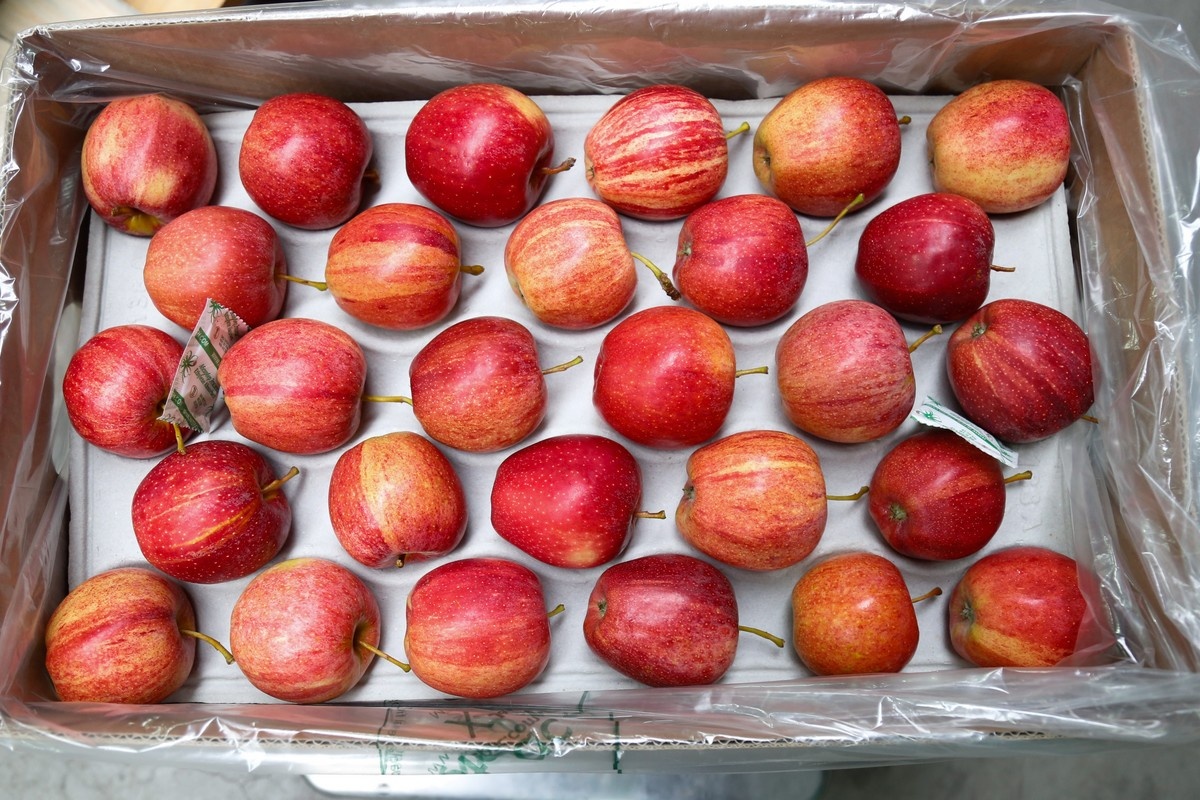 "Veel werknemers dienen nu in het leger; sommigen zijn naar het buitenland gegaan"