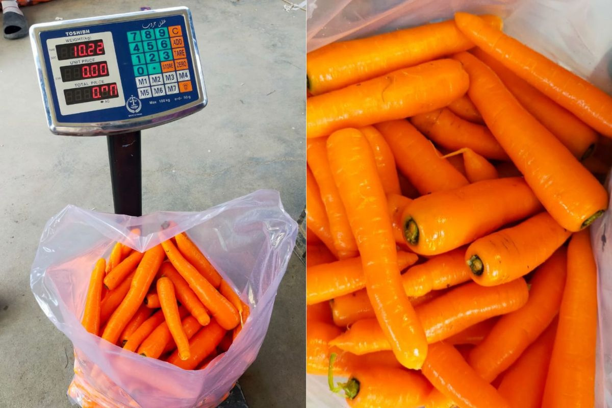 Egyptische wortelexport naar de EU neemt flink toe, maar Europese vraag vertraagt