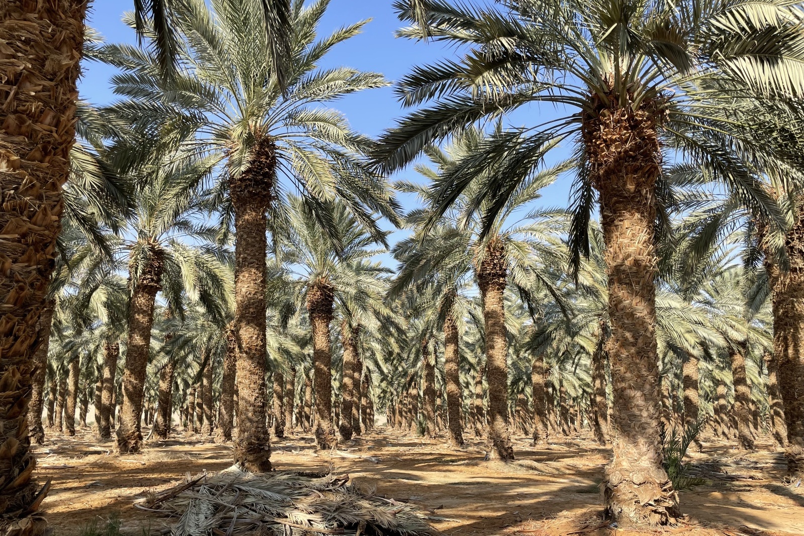 Nieuwe producten en rijptechnologie moeten margedruk opvangen