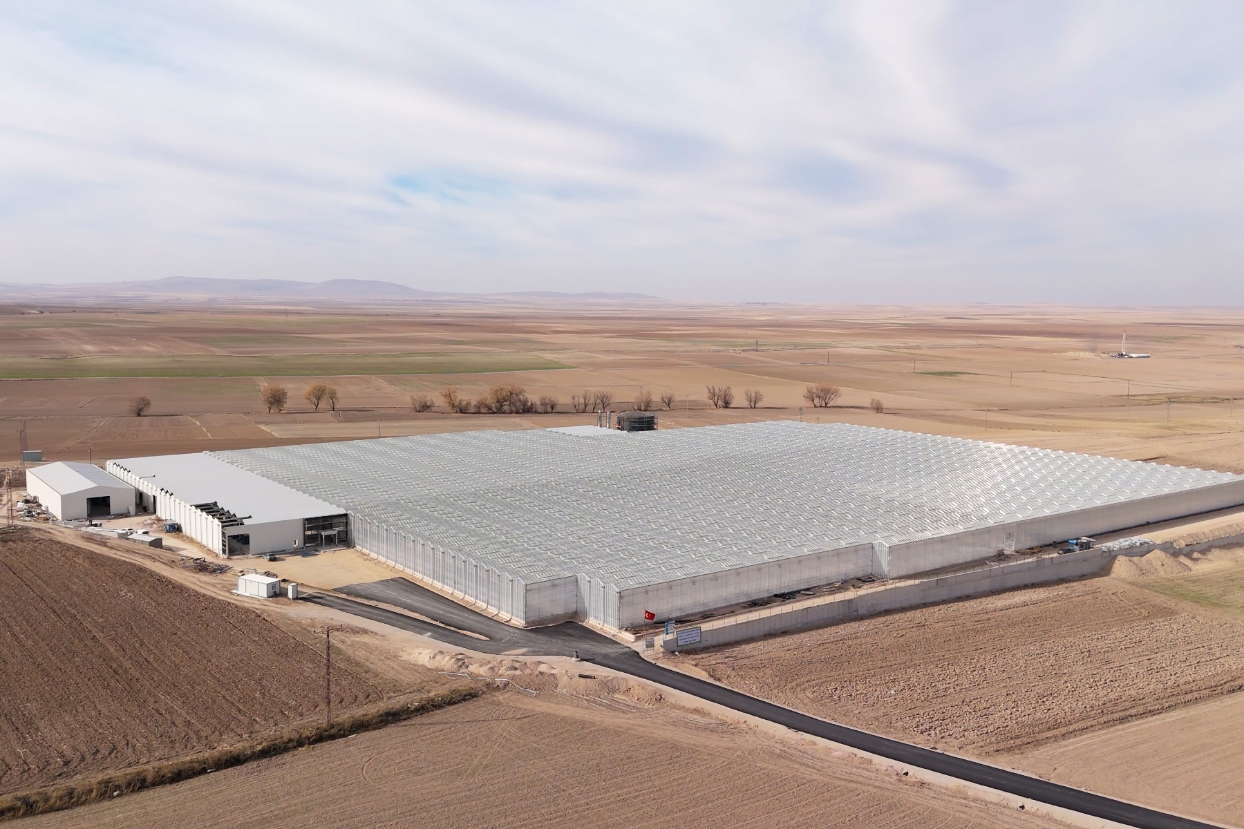 Geothermisch kasproject in Kayseri onderstreept Turkse ambitie op EU-tomatenmarkt