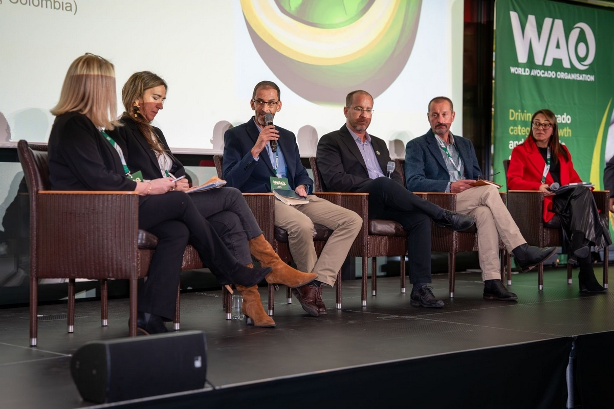 Europese avocadomarkt verwacht 16% volumegroei in 2025