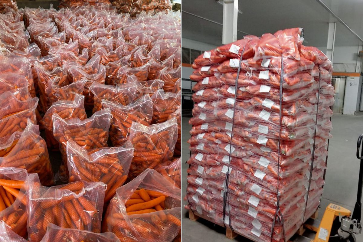 “Het is nu tijd voor wortelimporteurs om contracten af te sluiten”