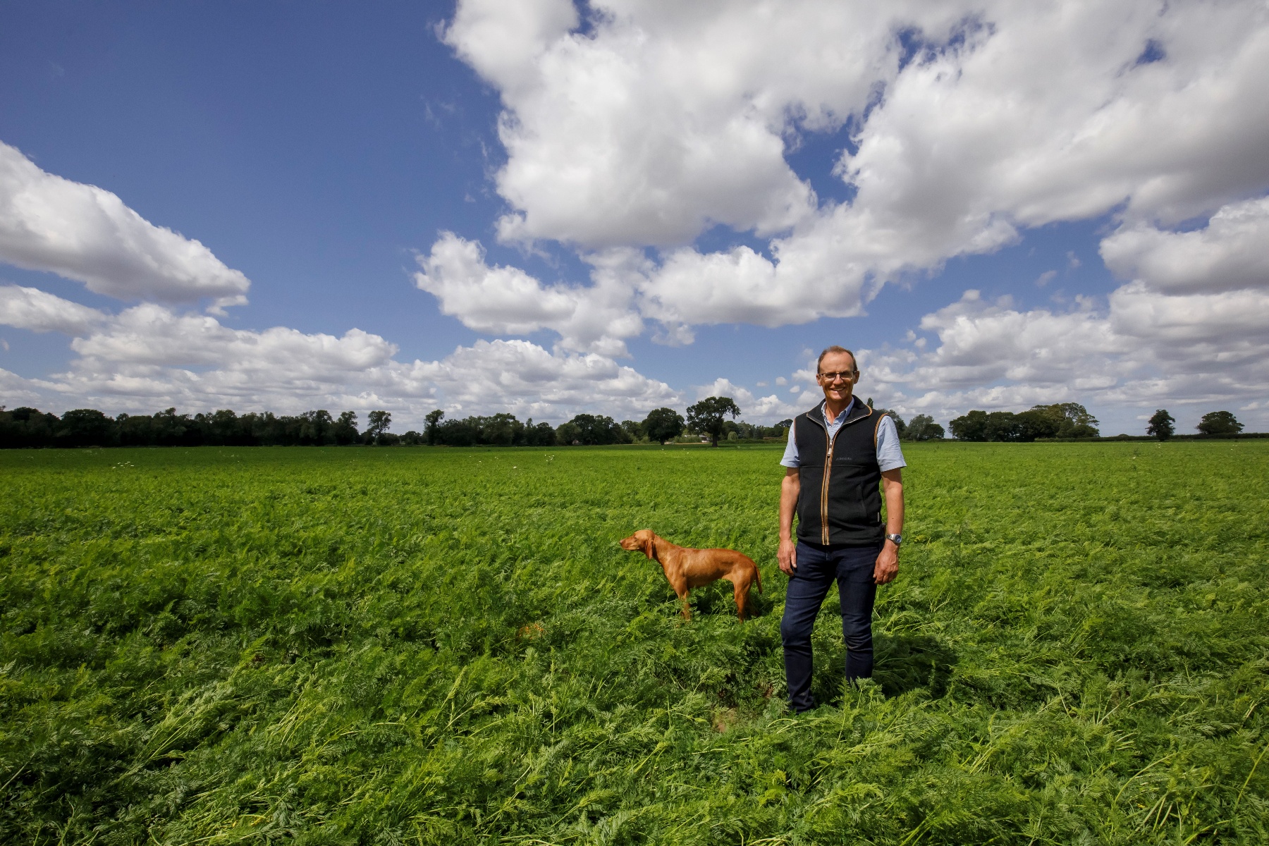 "Ik denk dat we 5% van onze worteloogst hebben verloren, en daar kan ik mee leven"