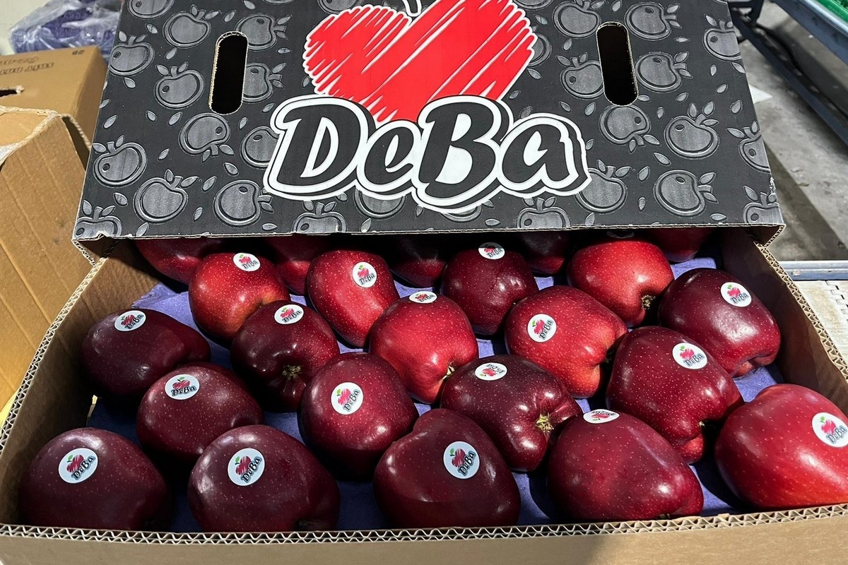 "Dit is het slechtste appelseizoen van de afgelopen 50 jaar"