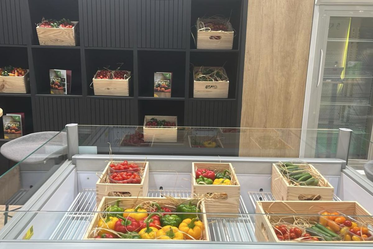 4 miljoen glutenvrije dadelrepen voor Europese markt