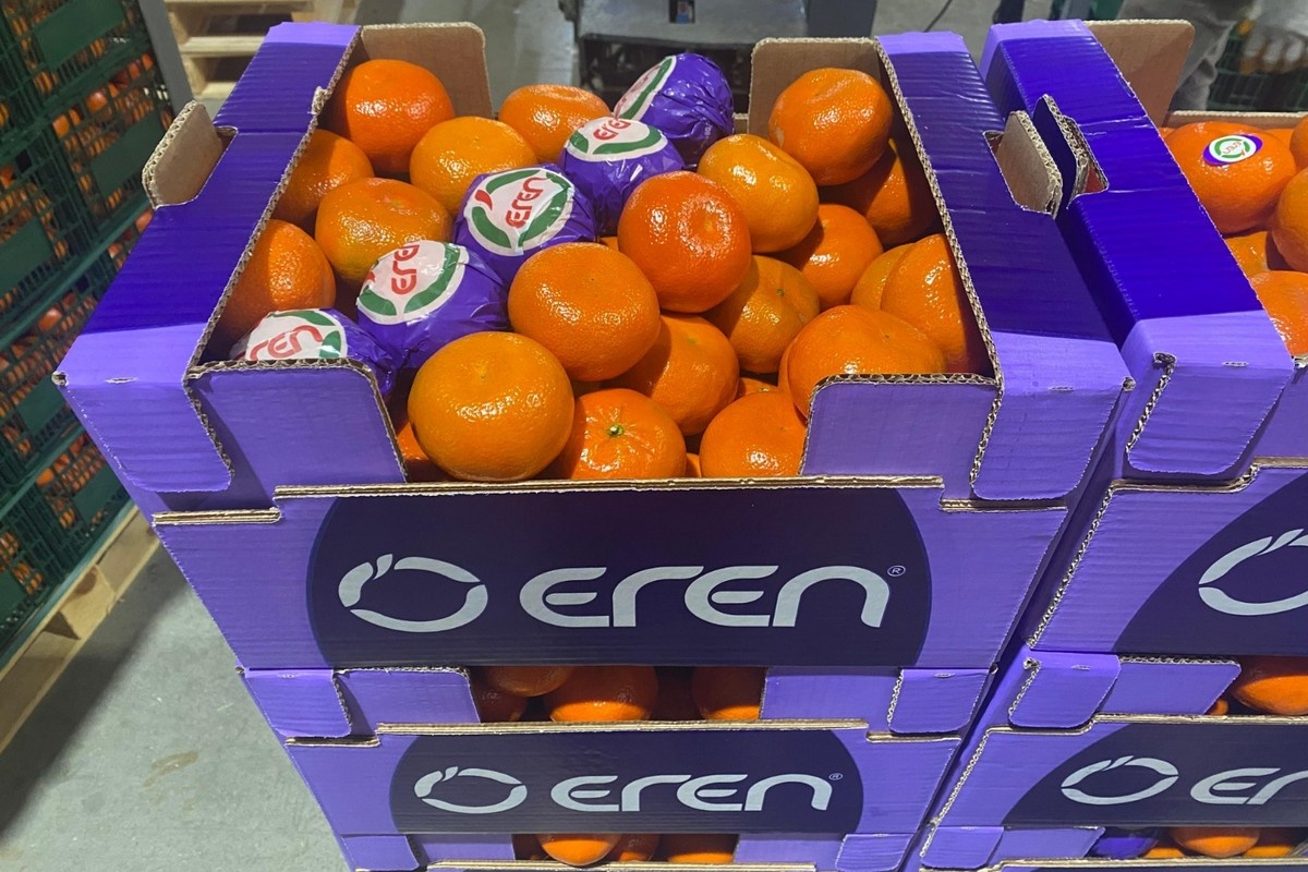 “Turkse mandarijnoogst 40 - 50 procent gestegen”