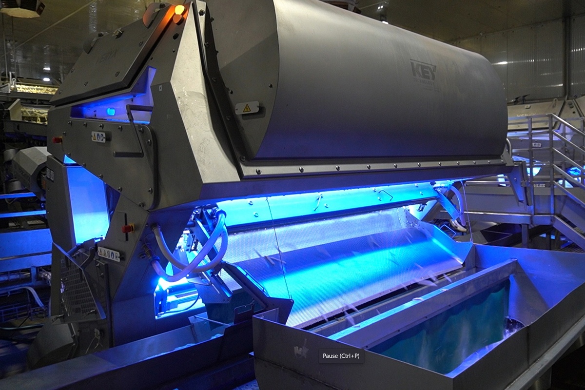 Braziliaanse fritesfabriek Bem Brasil installeert 30-ton-per-uur lijn