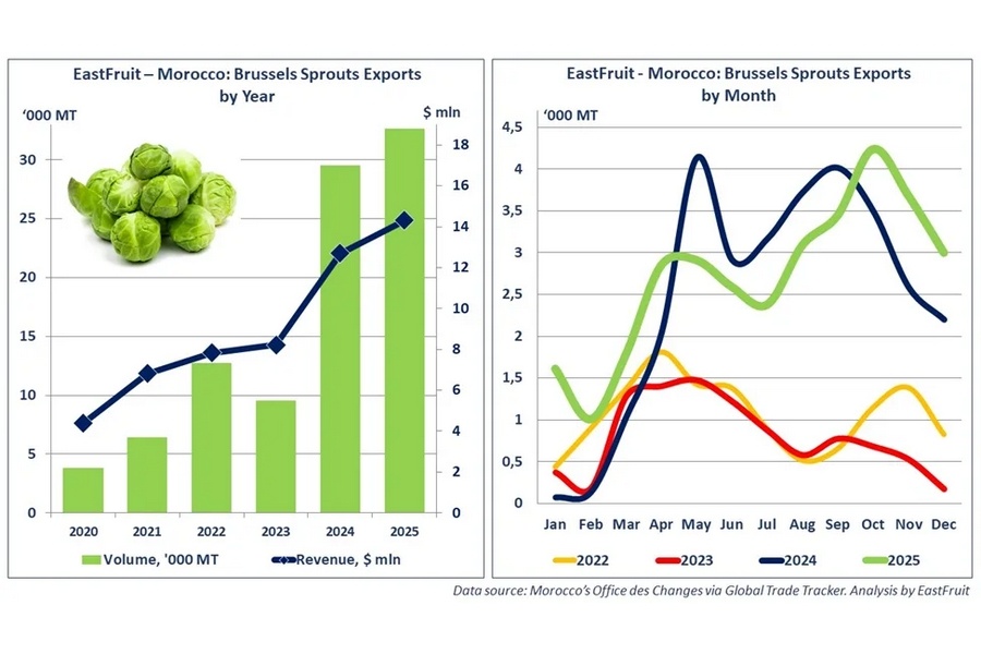 Marokko exporteert record: 32.600 ton spruiten