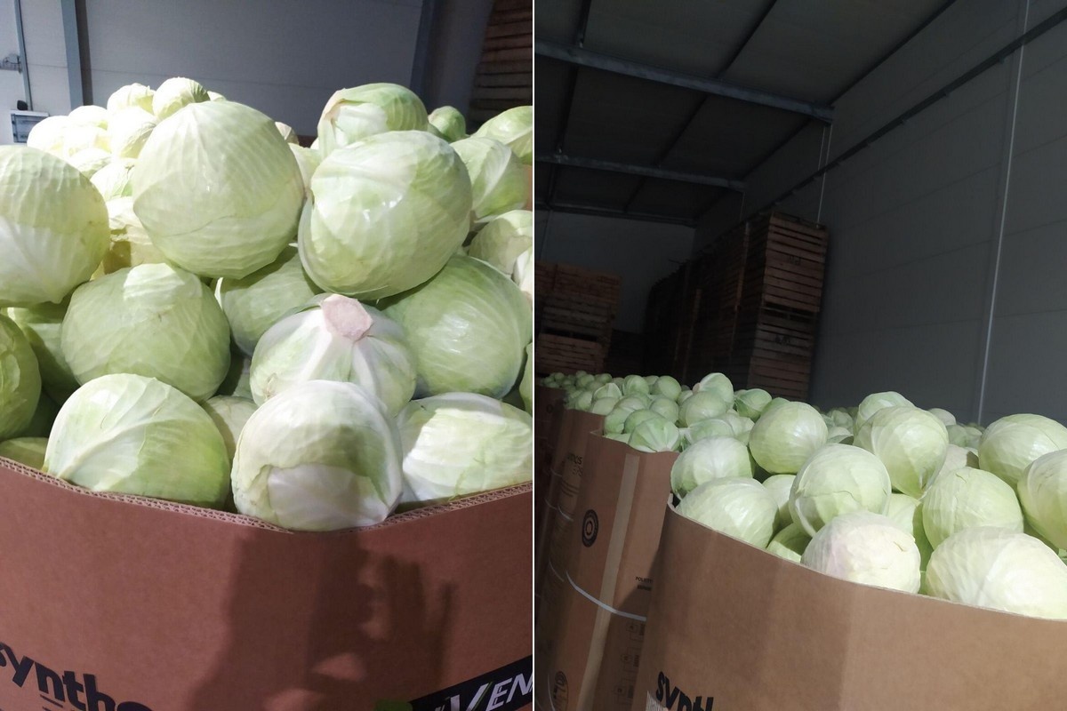 Vraag naar Poolse kool lager dan verwacht